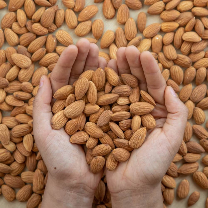 Almonds (Badam) (Re-exported after processing)