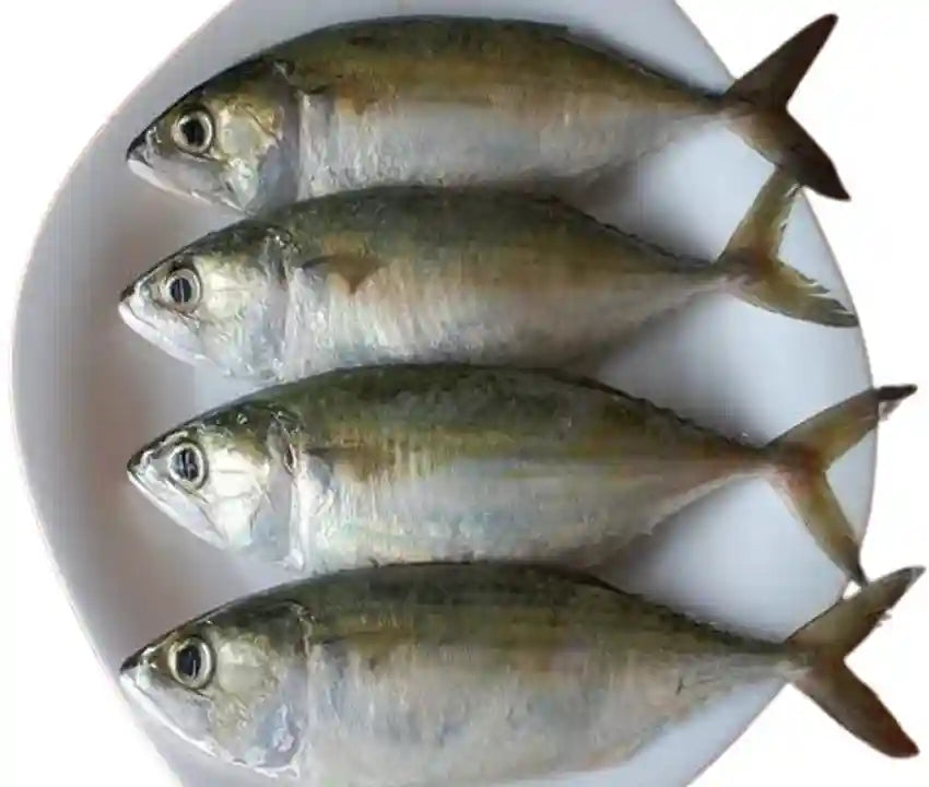 Dry Mackerel (Bangda)