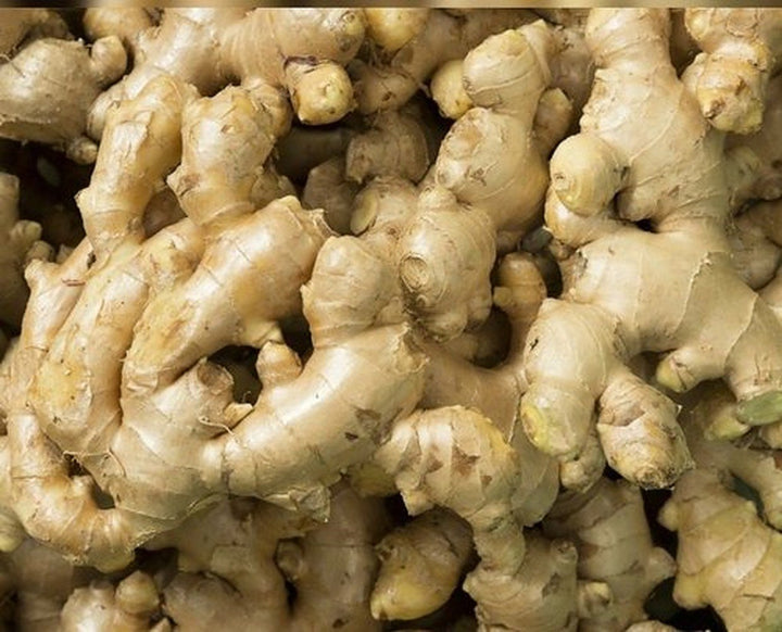 Indian Ginger