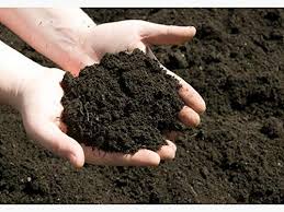Cow Dung (Dry/Processed) – Export Quality