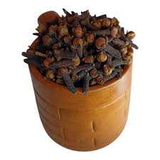 Indian Clove (Idukki, Kerala)