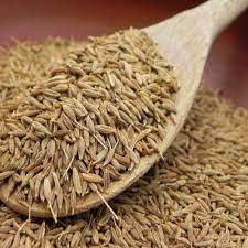 Indian Cumin Seed (Jeera) standard quality