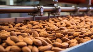 Almonds (Badam) (Re-exported after processing)