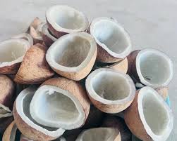 Dried Coconut (Copra)