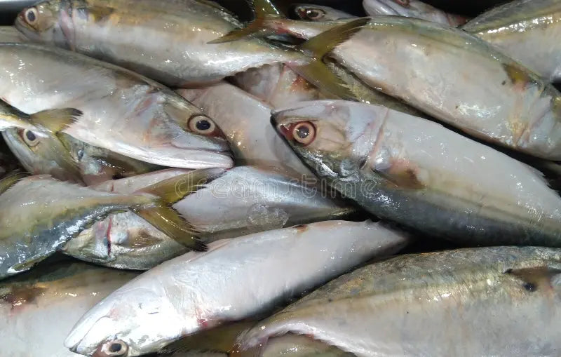 Dry Mackerel (Bangda)