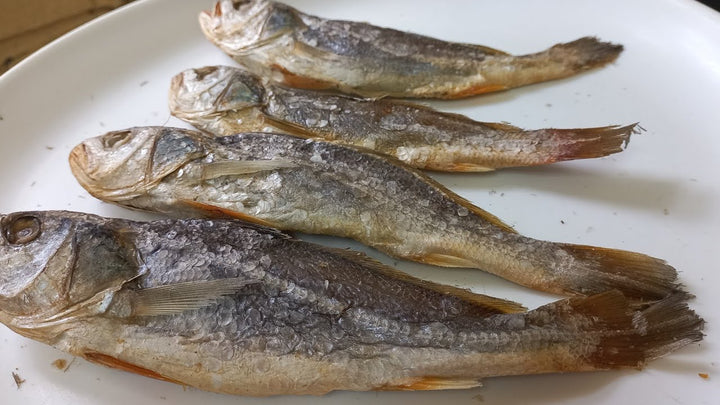 Dry Croaker Fish (Koth)
