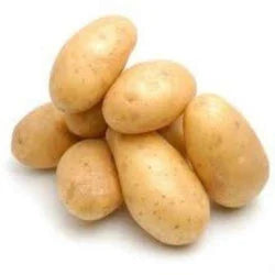 Indian Potato