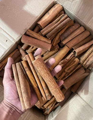 Daal Chini Roll (Cinnamon )