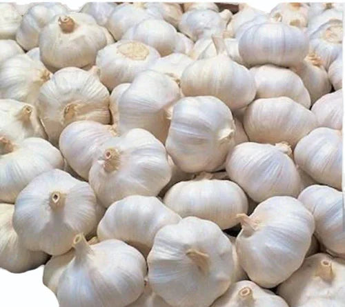 Indian Garlic
