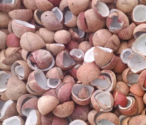 Dried Coconut (Copra)